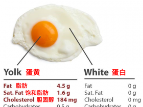 肾病患者吃鸡蛋时究竟吃蛋白还是吃蛋黄？