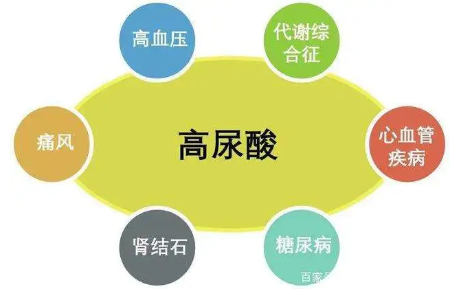 高尿酸血症对人体的伤害是这样的